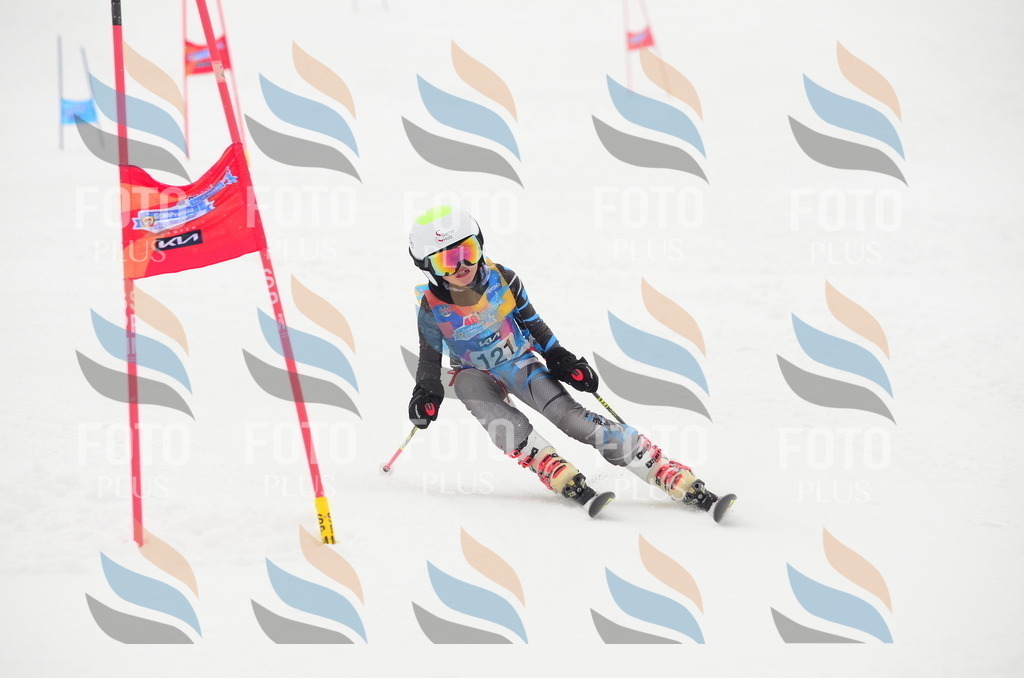 C1552 | holidayphoto