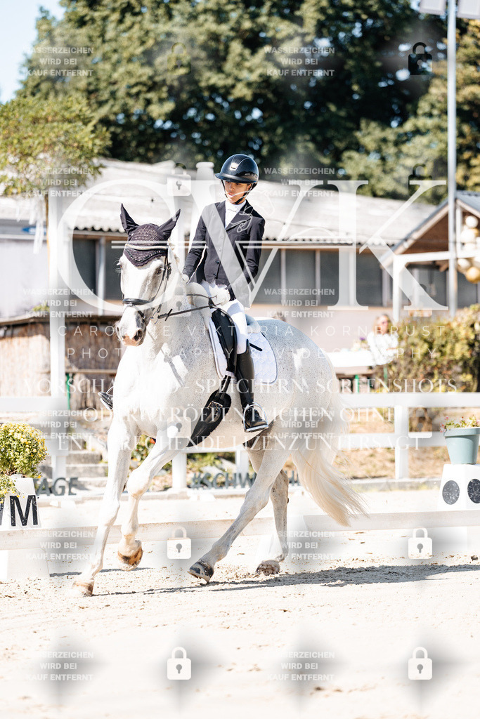 CK908941 | Turnierfotografie Pferdefotografie Trier Rheinland-Pfalz Pferdesport Reitsport Tierfotografie Sportfotografie Pferdevideo Pferdevideografie Equestrianvideography equestrianphotography  - Realisiert mit Pictrs.com