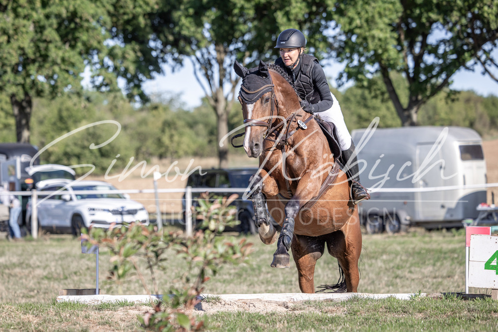 20260906-_3LI1652 | Tierfotografie Pferde, Hunde, Katzen, Haustiere.
Turnierfotografie Reitturniere, Reiten, Springreiten, Dressur in Hanau, dem Main-Kinzig-Kreis und dem Rhein-Main- Gebiet um Frankfurt