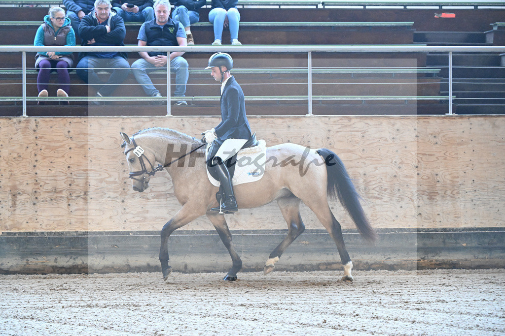 Kat-Nr. 11 Magnus HL v. Mescal_ZG Donau-Ries_43250016 | hf-fotografie - Realisiert mit Pictrs.com