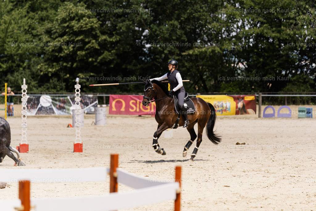 WM_SP_110_SinaFilmArt_IN07564 | working equitationturnier fotograf videograf stoibphotography marixx film working equitation deutschland reitsport turnierfotografie eventfotografie equestrian events