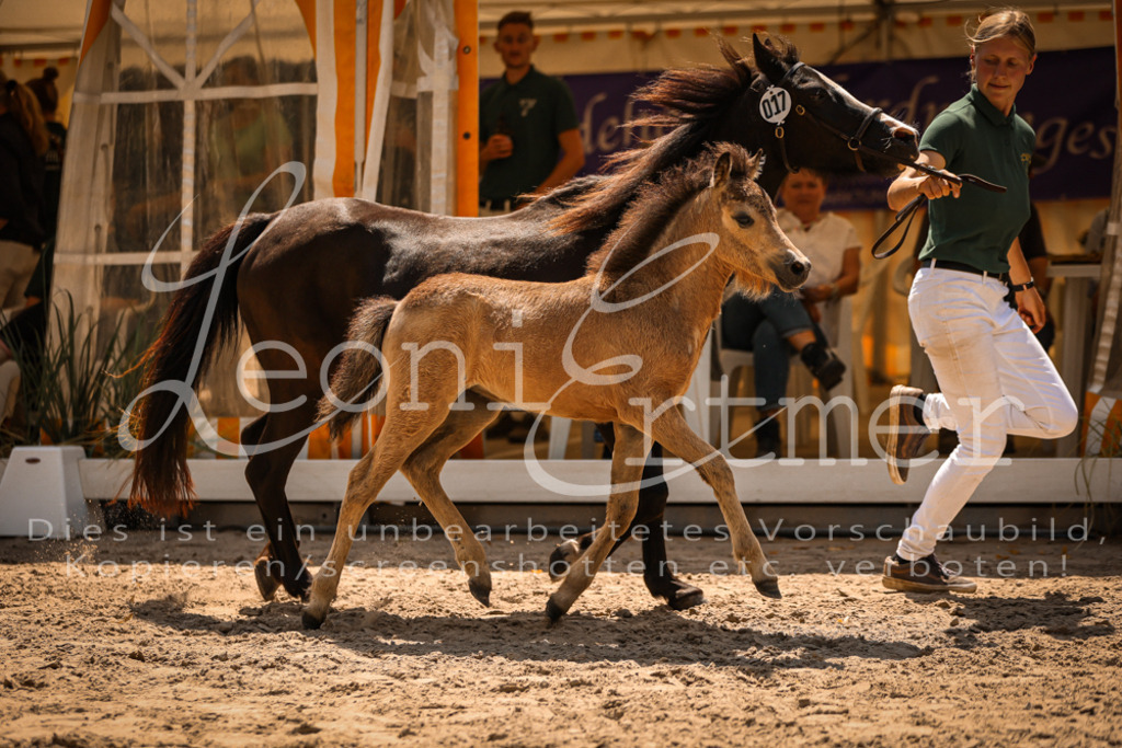 04.DoWP00046 | Leoni Ertmer Photography - Realisiert mit Pictrs.com