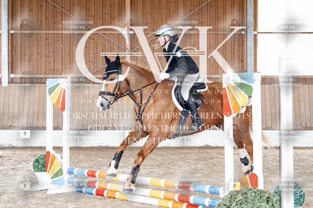 CK902538 | Turnierfotografie Pferdefotografie Trier Rheinland-Pfalz Pferdesport Reitsport Tierfotografie Sportfotografie Pferdevideo Pferdevideografie Equestrianvideography equestrianphotography  - Realisiert mit Pictrs.com