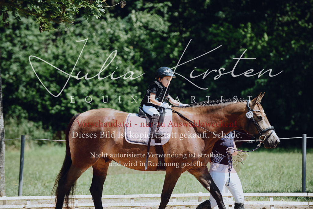 DSC_2631 | Pferde- und Turnierfotografie in Westsachsen. Pferdeportraits, Auftragszeichnungen und intuitive Kunst.