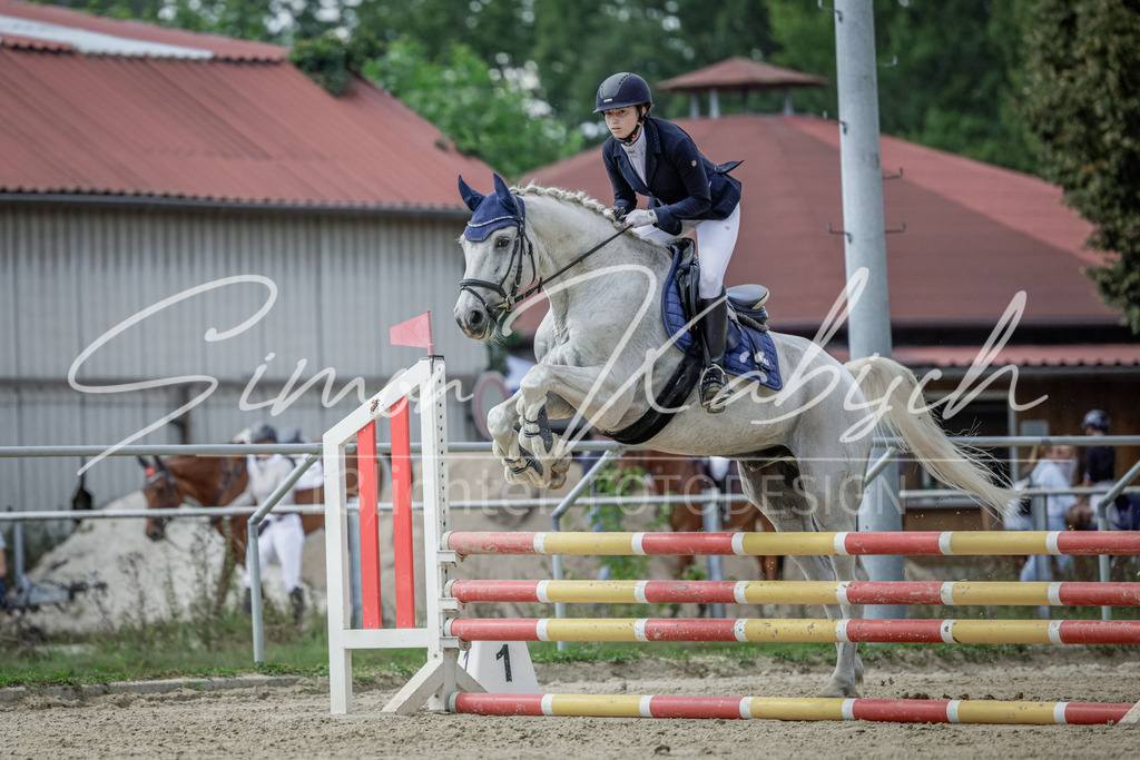 20250906-_3LI6157 | Tierfotografie Pferde, Hunde, Katzen, Haustiere.
Turnierfotografie Reitturniere, Reiten, Springreiten, Dressur in Hanau, dem Main-Kinzig-Kreis und dem Rhein-Main- Gebiet um Frankfurt