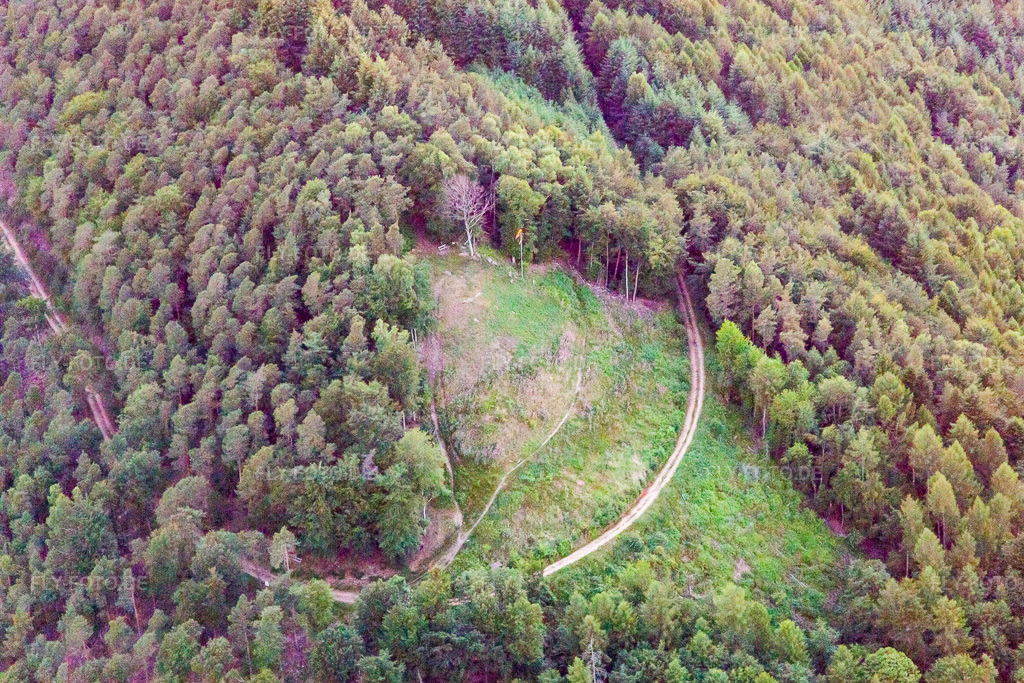 Luftbild: Gleitschirmstartplatz Förlenberg in Leinsweiler im Bundesland Rheinland-Pfalz in Deutschland. Foto: IMG_115574.jpg vom 21.06.2019 durch Werner Riehm/FLY-FOTO.de