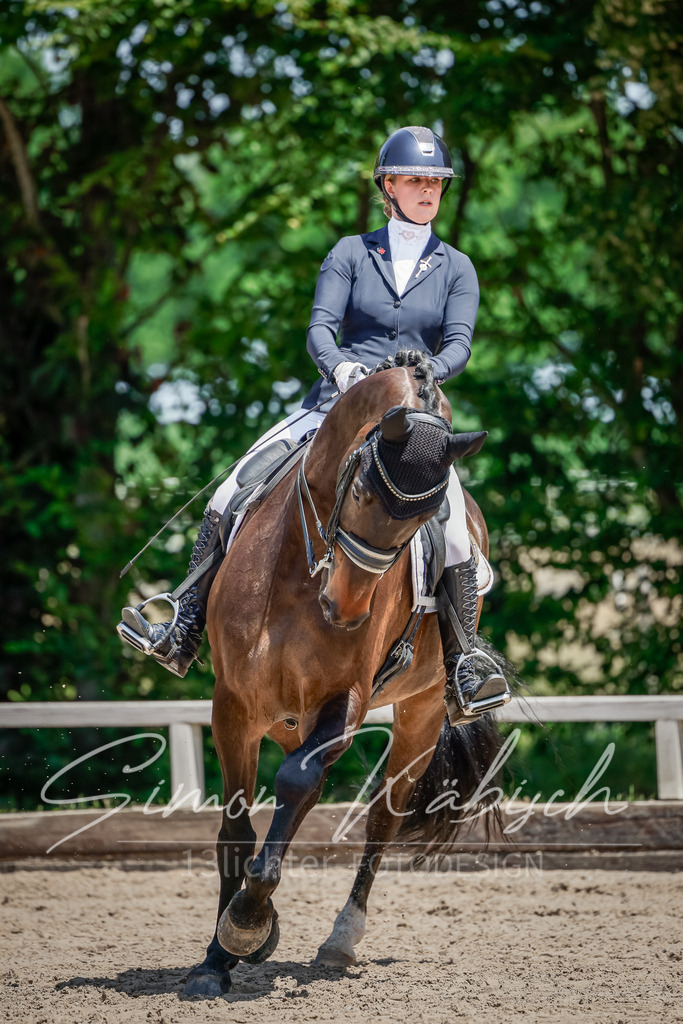20250621-_3LI7398 | Tierfotografie Pferde, Hunde, Katzen, Haustiere.
Turnierfotografie Reitturniere, Reiten, Springreiten, Dressur in Hanau, dem Main-Kinzig-Kreis und dem Rhein-Main- Gebiet um Frankfurt
