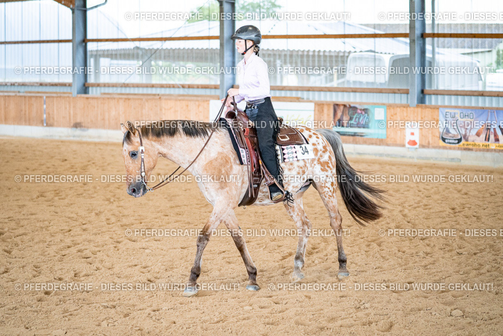 DSC02558 | Pferdegrafie