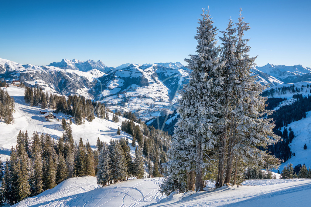 DSC05434 | Professioneller Fotograf - Bildbestellung online - Wandbilder vom Profi für ihr Zuhause, Büro, Praxis, Firma - große Auswahl an Materialien und Formaten, über 1400 regionale Motive