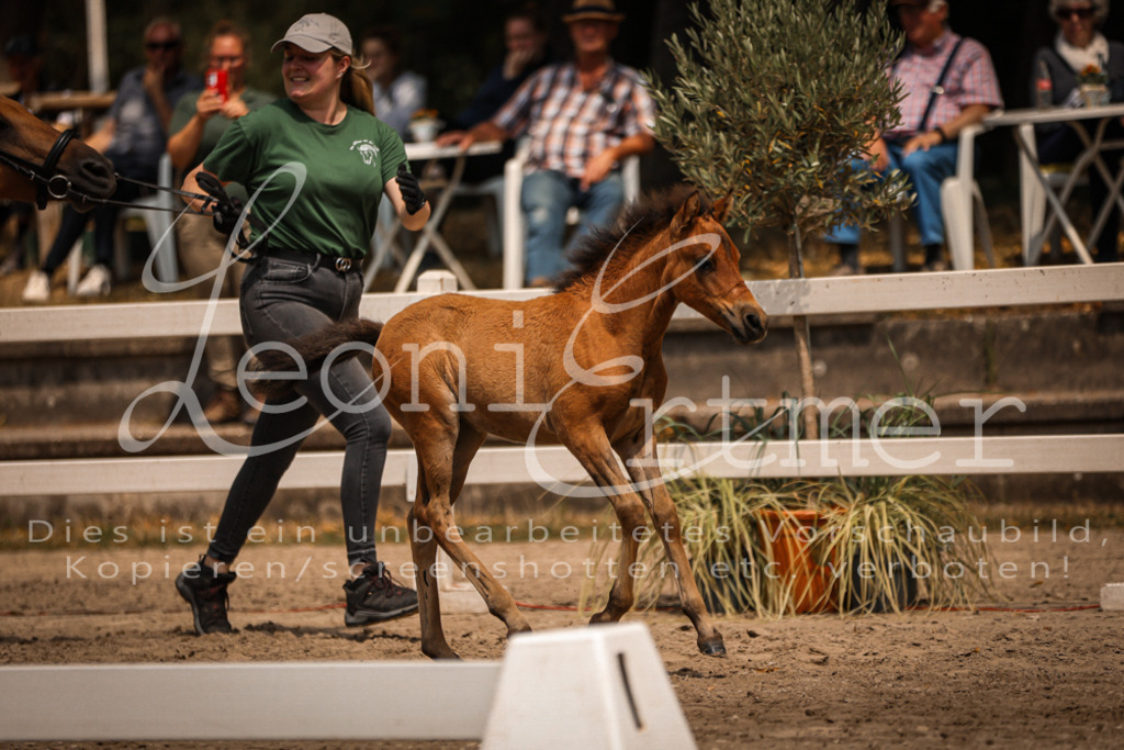 02.DoSR00098 | Leoni Ertmer Photography - Realisiert mit Pictrs.com