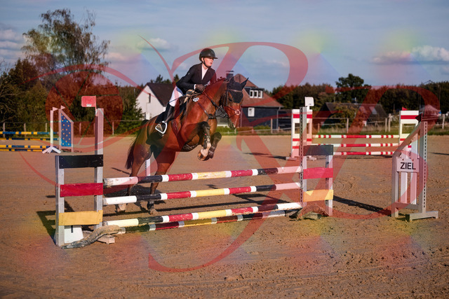 2026_10_03_Siefer-Hof_170837_Z81_05007639 | Professionelle Reitsport-, Turnier- und Eventfotografie von Robert Broda. Galerien mit ausgewählten und bearbeiteten Bildern direkt online ansehen und bestellen.