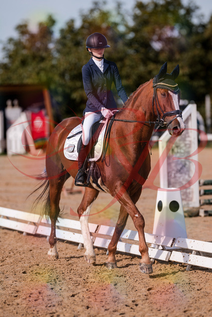2026_10_03_Siefer-Hof_123444_Z81_32895430 | Professionelle Reitsport-, Turnier- und Eventfotografie von Robert Broda. Galerien mit ausgewählten und bearbeiteten Bildern direkt online ansehen und bestellen.
