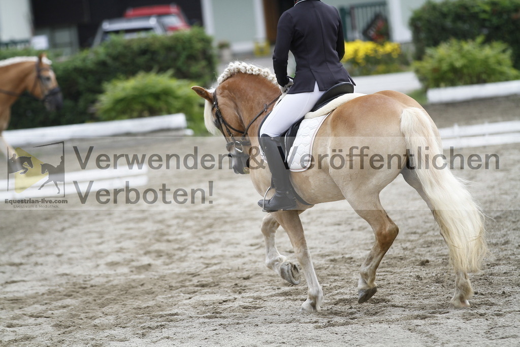 _MG_0979 | equestrian-live-com