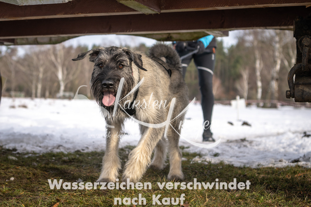 0848_ZZ92732-4 | kk-dogfotos