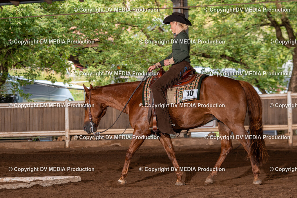 Erbach Tag 2-128 | dv-media-shop - Realisiert mit Pictrs.com