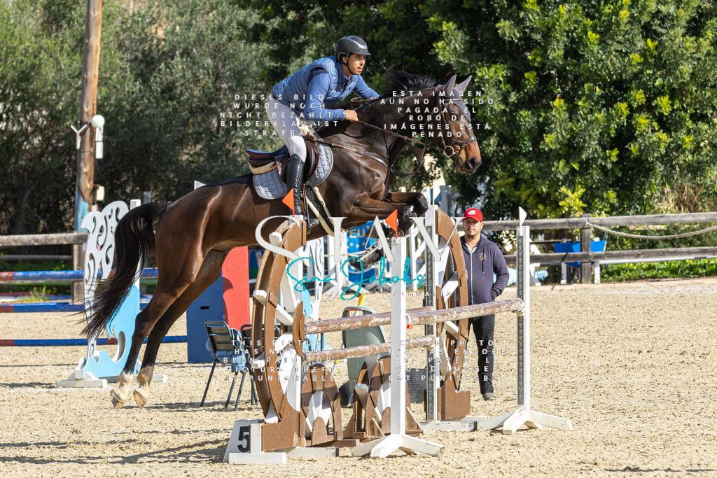 IMG_3986 | s-jay-photography - Realisiert mit Pictrs.com