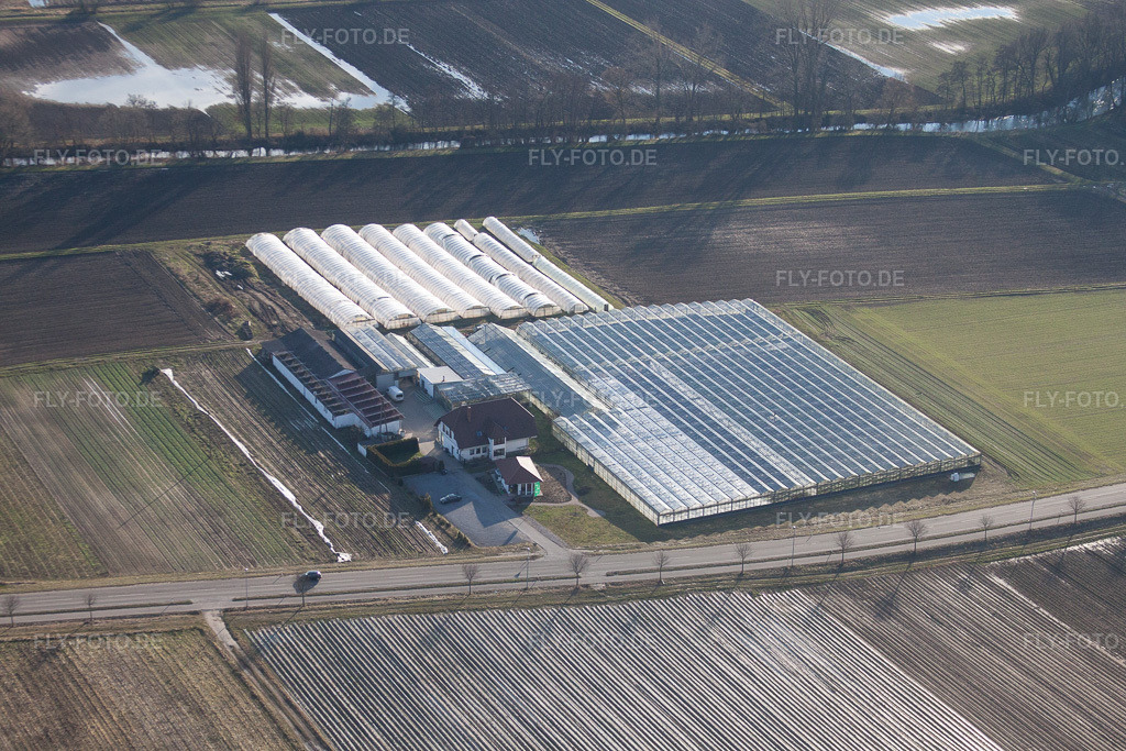 Luftbild: Biogärtnerei/-Laden in Herxheim bei Landau im Bundesland Rheinland-Pfalz in Deutschland. Foto: IMG_37099.jpg vom 22.01.2011 durch Werner Riehm/FLY-FOTO.de