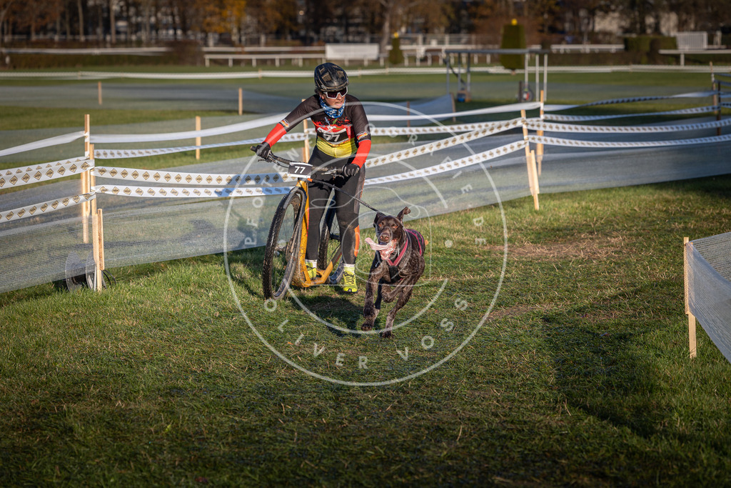 CaniXpix_0L8A3631 | Hundefotografie, Tierfotograf, Pfotenfotografie, Fotoshooting Hund, Hunde Portrait, Hundesport, Hundeportraits, Heideshooting, Hunde, Sportfotograf, Hundefotograf, Turnierhundsport, THS,  - Realisiert mit Pictrs.com