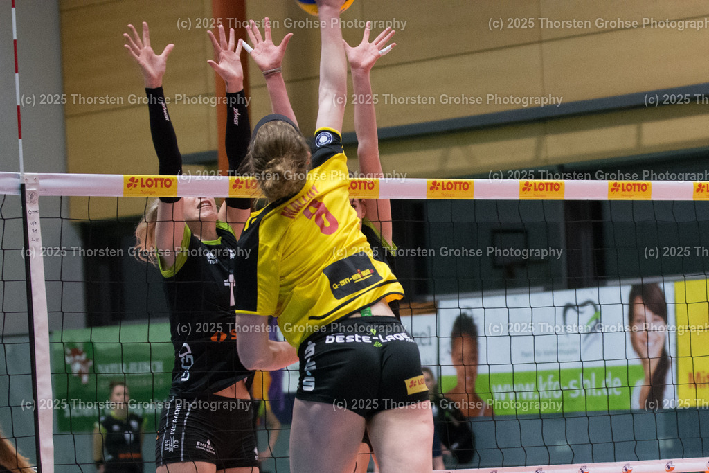 VBL VFB SUHL vs. LADIES IN BLACK AACHEN | Aachen in SCHWARZ gegen Suhl in GELB; VBL VFB SUHL vs. LADIES IN BLACK AACHEN, Volleyball-Bundesliga Frauen am 03.02.2018 in der Multihalle in Meiningen, (Deutschland) - Realisiert mit Pictrs.com