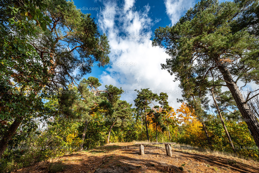 10049-13719 - Herbststimmung in den Spiegelsbergen | Stockfoto und Bilderpool mit Bildmaterial aus Deutschland, dem Harz, Halberstadt, Quedlinburg, Wernigerode und weltweit. Qualitativ hochwertige und professionelle Fotos anschauen und kaufen. - Realisiert mit Pictrs.com