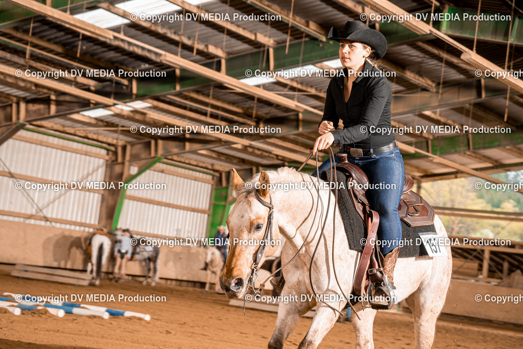 BA400306 | dv-media-shop - Realisiert mit Pictrs.com