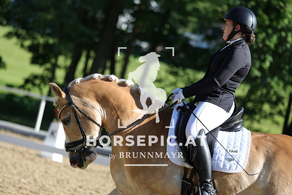 0P6A9340 | Willkommen bei Brunnmayr - Design & Fotografie – Ihrem Spezialisten für Reitturniere und Pferdeveranstaltungen in Oberösterreich, Salzburg und Bayern! Seit über 17 Jahren sind wir leidenschaftlich dabei.