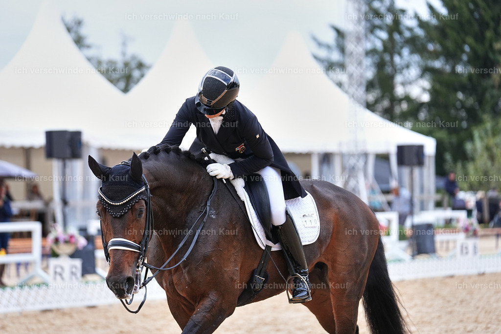 12-110-DRESSUR  S___  -Marixx-5211 | working equitationturnier fotograf videograf stoibphotography marixx film working equitation deutschland reitsport turnierfotografie eventfotografie equestrian events