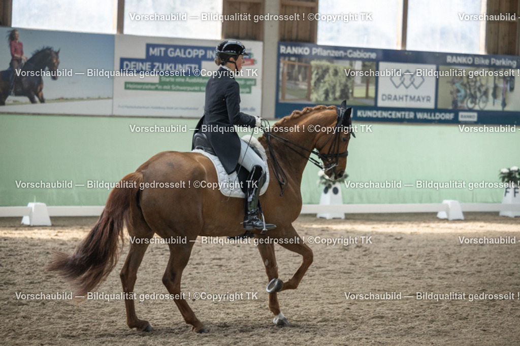 _D5A4603 | Emotionale Pferde- & People-Fotografie rund um Heidelberg, Leimen & Umgebung. Natürliche Fotos von Pferd, Mensch & Familie. Jetzt Termin sichern!