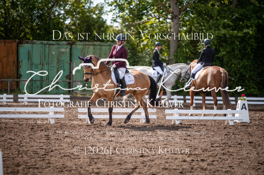 DSC_9847 | Christina-Kleuver