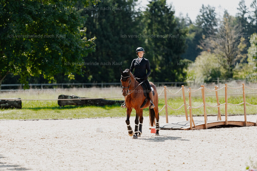 Nadine22_FHC2025-51 | working equitationturnier fotograf videograf stoibphotography marixx film working equitation deutschland reitsport turnierfotografie eventfotografie equestrian events