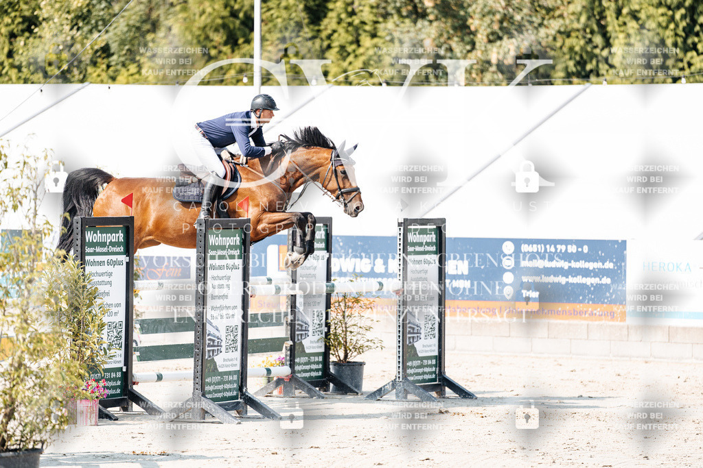 CK902535 | Turnierfotografie Pferdefotografie Trier Rheinland-Pfalz Pferdesport Reitsport Tierfotografie Sportfotografie Pferdevideo Pferdevideografie Equestrianvideography equestrianphotography  - Realisiert mit Pictrs.com