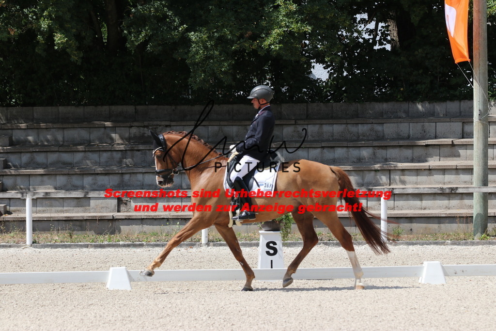 IMG_4276 | lmwpictures - Realisiert mit Pictrs.com