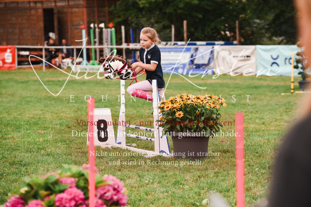 DSC_4520 | Pferde- und Turnierfotografie in Westsachsen. Pferdeportraits, Auftragszeichnungen und intuitive Kunst.