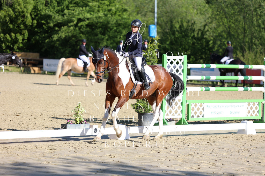 IMGT2814 | pl-fotografie