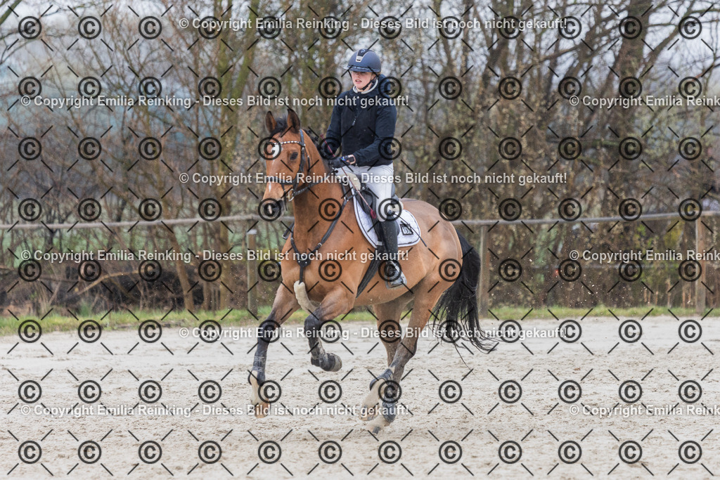 CL5A7150 | Emilia Reinking Fotografie - Realisiert mit Pictrs.com