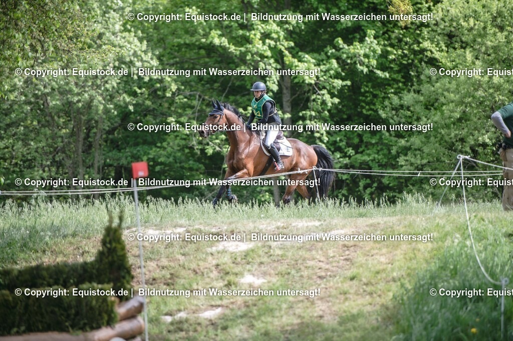 20250517_CCI1_Gelände_0368 | Foto: Thomas Hartig
