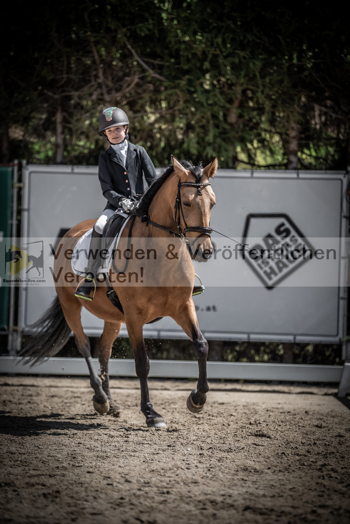 DSC_0855 | equestrian-live-com