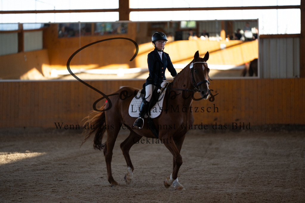 A7V01585 | Turnier/Reitfotograf