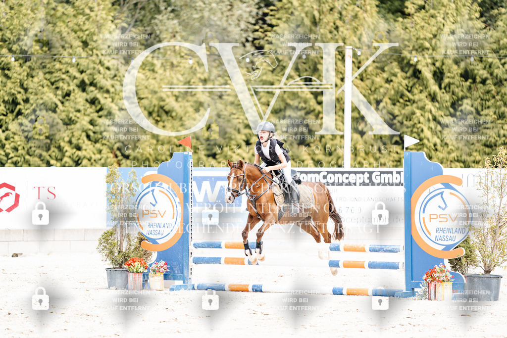 CK906761 | Turnierfotografie Pferdefotografie Trier Rheinland-Pfalz Pferdesport Reitsport Tierfotografie Sportfotografie Pferdevideo Pferdevideografie Equestrianvideography equestrianphotography  - Realisiert mit Pictrs.com