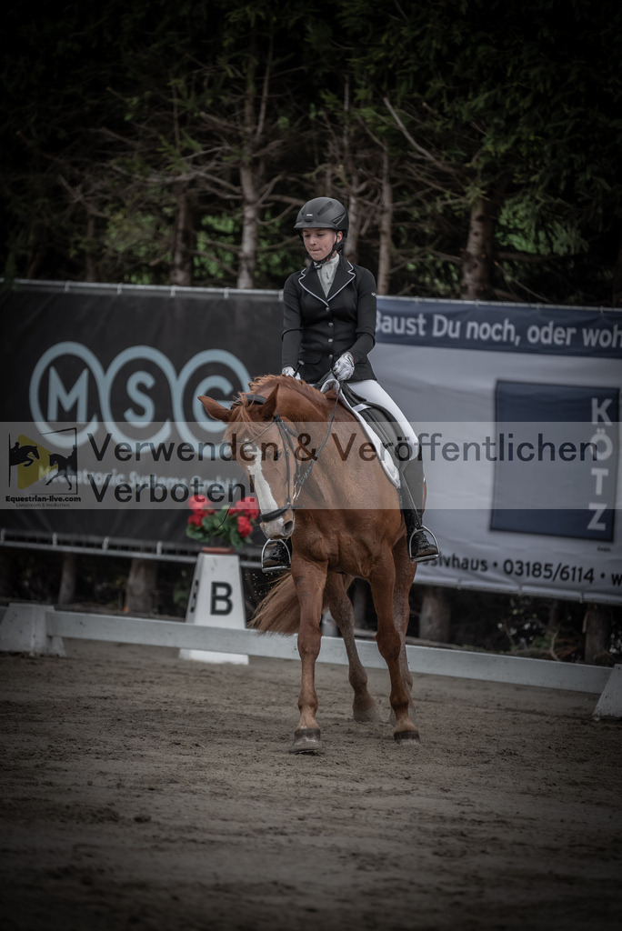 DSC_9037 | equestrian-live-com