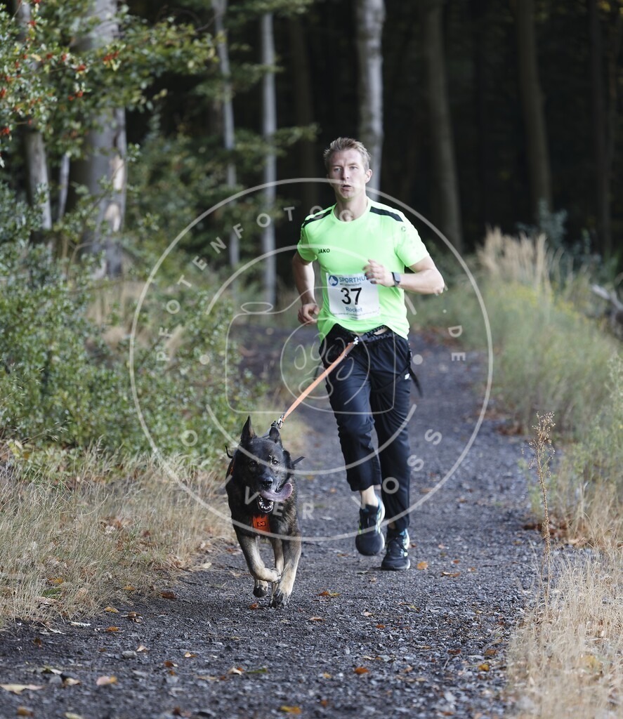 0L8A1623 | Hundefotografie, Tierfotograf, Pfotenfotografie, Fotoshooting Hund, Hunde Portrait, Hundesport, Hundeportraits, Heideshooting, Hunde, Sportfotograf, Hundefotograf, Turnierhundsport, THS,  - Realisiert mit Pictrs.com