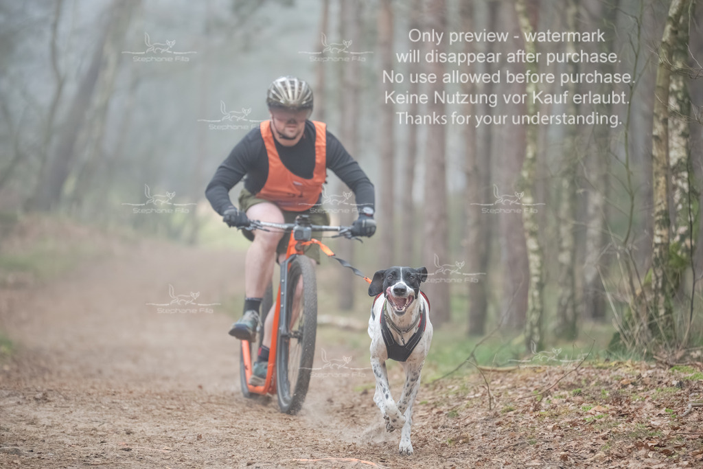 Scooter1-101 | stephaniefillaphotographie - Realisiert mit Pictrs.com