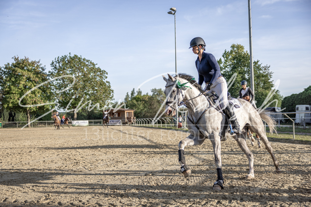 20250907-_3LI5009 | Tierfotografie Pferde, Hunde, Katzen, Haustiere.
Turnierfotografie Reitturniere, Reiten, Springreiten, Dressur in Hanau, dem Main-Kinzig-Kreis und dem Rhein-Main- Gebiet um Frankfurt