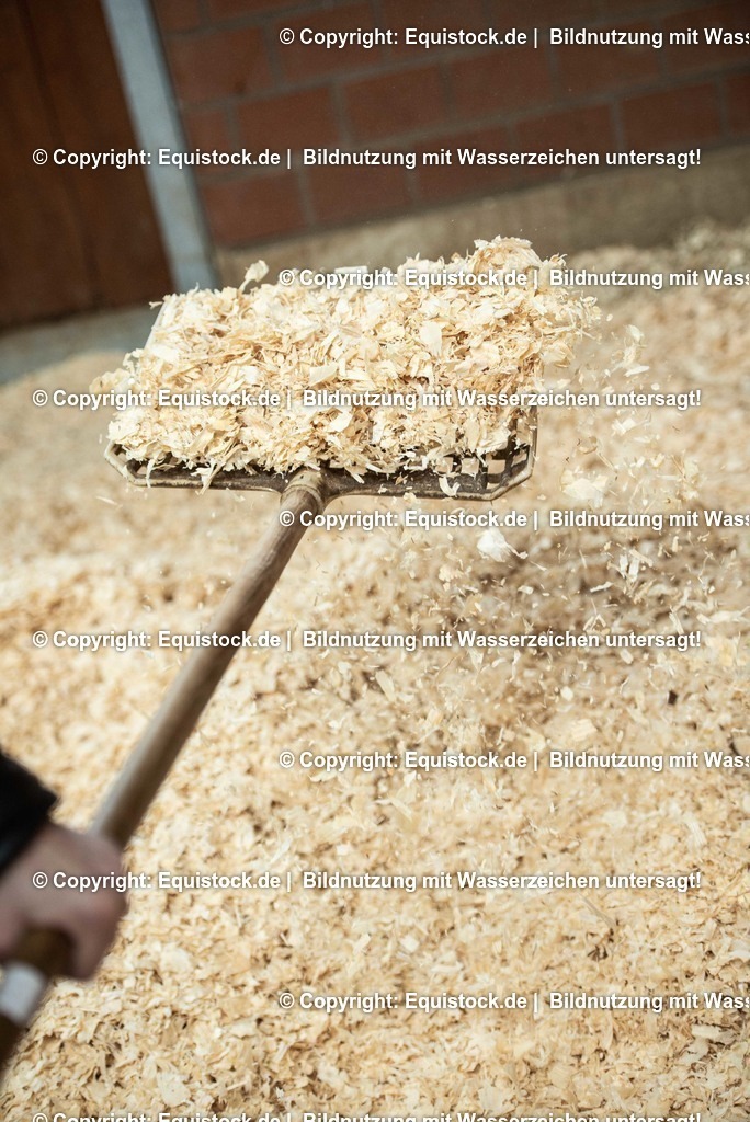 20190409_Einstreu_in_Pferdebox_0051 | Foto: Thomas Hartig