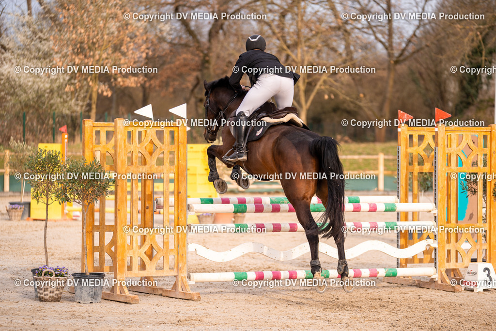 Kranichstein Tag 2-1377 | dv-media-shop - Realisiert mit Pictrs.com