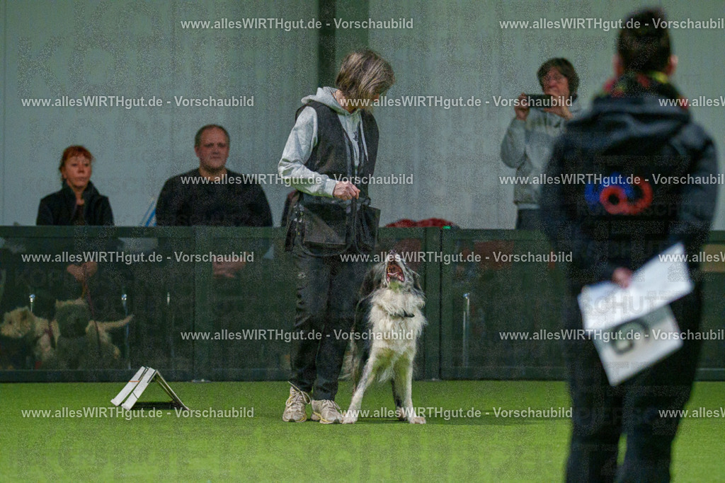 7R504448 | Professionelle Tierfotografie in Mönchengladbach von Daniel Wirth (allesWIRTHgut). Liebevolle & natürliche Bilder von Hunden & Katzen für unvergessliche Erinnerungen.