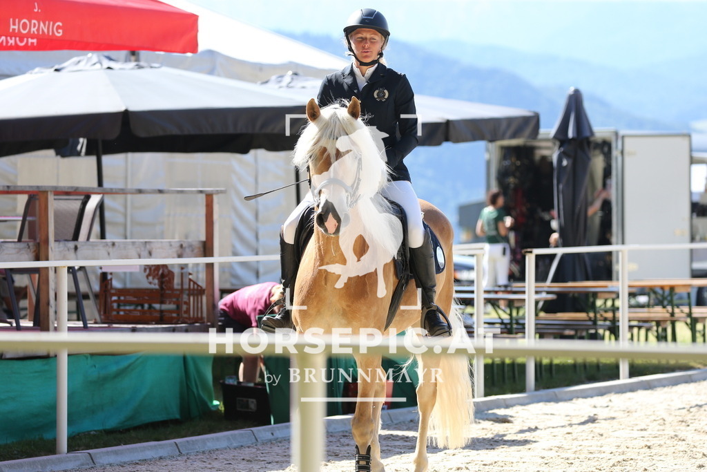 PP016558 | Willkommen bei Brunnmayr - Design & Fotografie – Ihrem Spezialisten für Reitturniere und Pferdeveranstaltungen in Oberösterreich, Salzburg und Bayern! Seit über 17 Jahren sind wir leidenschaftlich dabei.