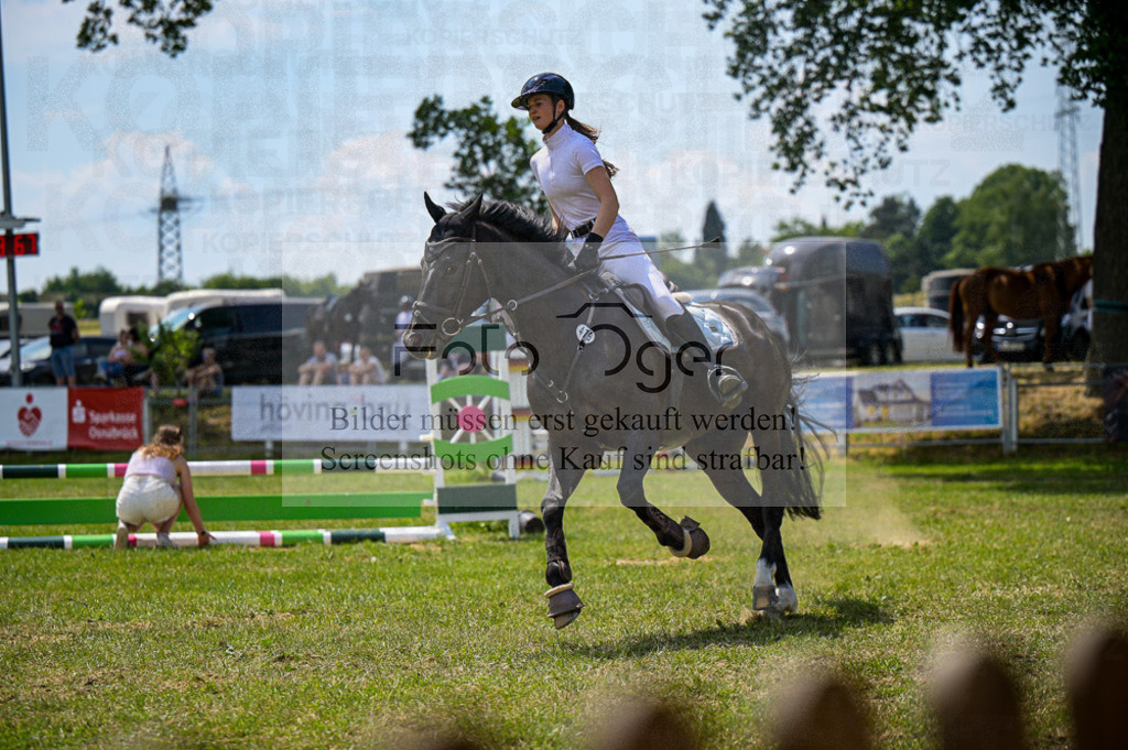 Reitturnier Voxtrup | Entdecke hochwertige Reitturnierfotos von Foto Oger. Professionell, emotional und authentisch – jetzt Lieblingsmomente im Shop bestellen.Deutschlandweite Turnierfotografie. - Realisiert mit Pictrs.com