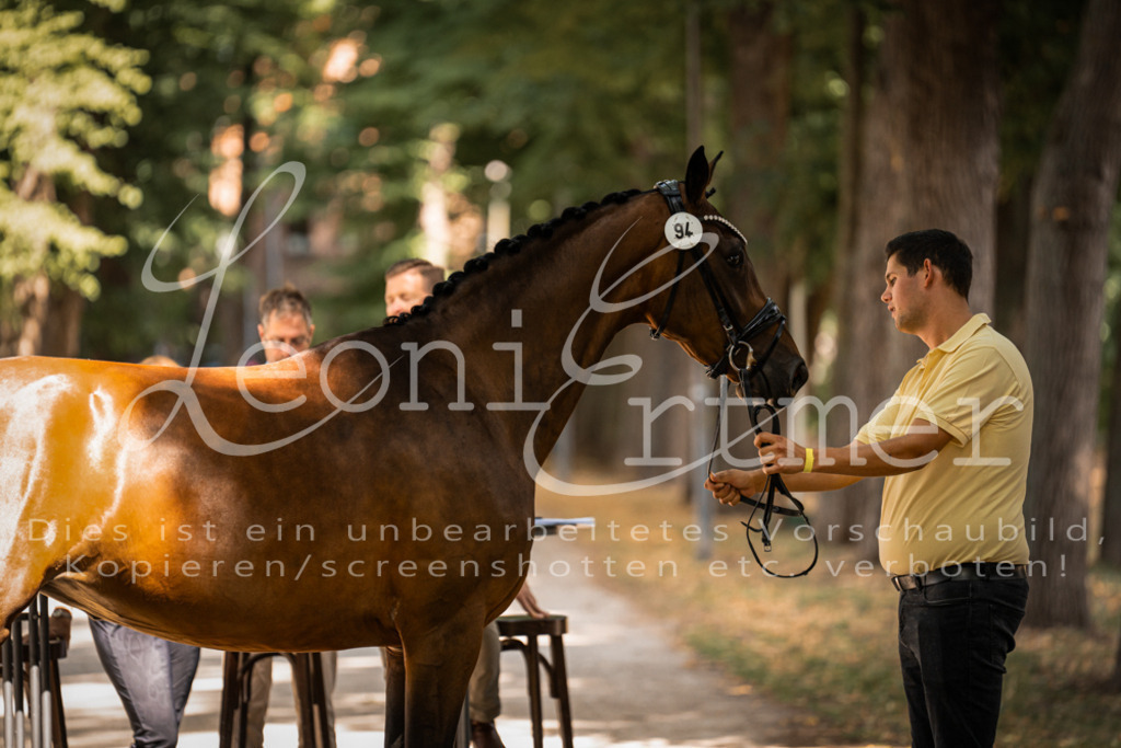 FrPfM00201 | Leoni Ertmer Photography - Realisiert mit Pictrs.com