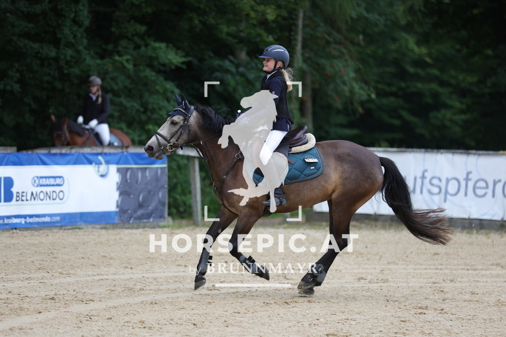 0P6A7115 | Willkommen bei Brunnmayr - Design & Fotografie – Ihrem Spezialisten für Reitturniere und Pferdeveranstaltungen in Oberösterreich, Salzburg und Bayern! Seit über 17 Jahren sind wir leidenschaftlich dabei.